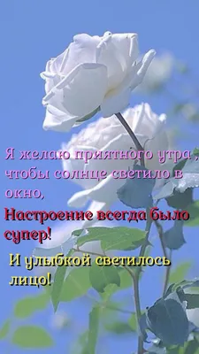 Картинка: \"Да здравствует новый день!\" Доброе утро! • Аудио от Путина,  голосовые, музыкальные