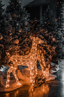 Картинка Рождество Елка 3D Графика Шарики красном фоне 3750x5000