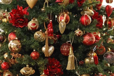 Елки-палки: как выбрать и украсить елку на Новый год - Советы - РИАМО в  Балашихе