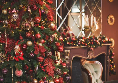 Идеальная елка на Новый год: как правильно выбрать и нарядить | WMJ.ru