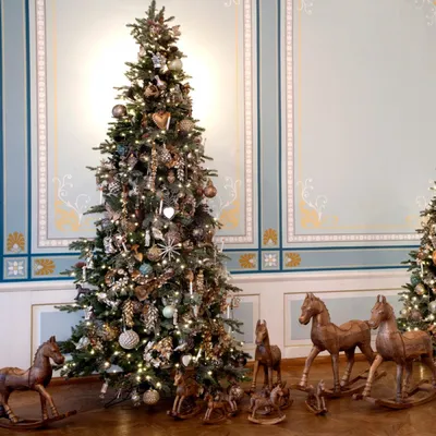 Новый год все ближе: советы для покупки праздничной елки - SakhalinMedia.ru