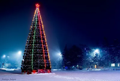 6 антитрендов в декоре елки и украшении дома на Новый год | ivd.ru