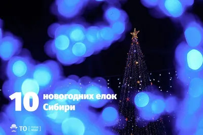 Как и в каких цветах наряжать елку на Новый 2024 год Дракона: идеи, стили,  фото - Российская газета