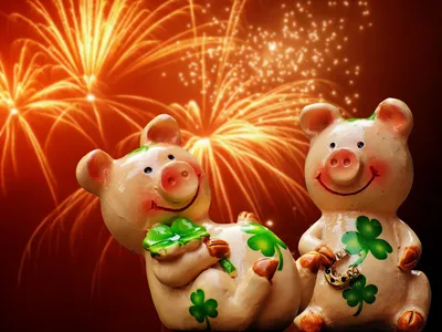 Счастливый Китайский Новый Год 2019 Год Свиньи — стоковая векторная графика  и другие изображения на тему Свинья - Копытное животное - Свинья - Копытное  животное, Милый, 2019 - iStock