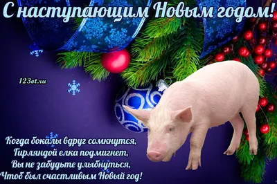 Новый год свинья 2019 Год свиньи PNG , Милый поросенок, Рисованный  мультфильм, Красная свинья PNG картинки и пнг рисунок для бесплатной  загрузки