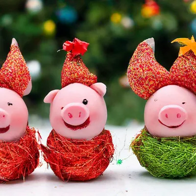 Рождество, Новый Год, свинья, Piggy с шарфом, зимой, снегом, звездой,  деревней Иллюстрация штока - иллюстрации насчитывающей рождество, ново:  131711445