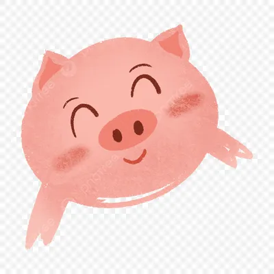 2019 год свинья иллюстрация ai скачать бесплатно бесплатно вектор персонажа  свиньи - Urbanbrush
