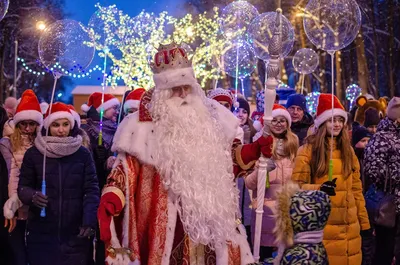 В России выбрали главную елку страны на Новый год