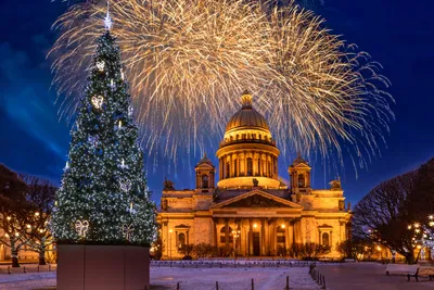 Психолог рассказала, нужно ли праздновать Новый год - Российская газета