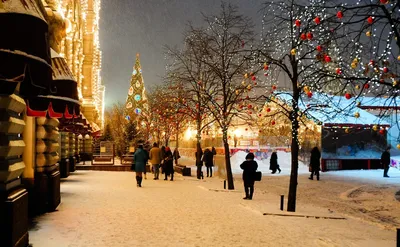 Новый год-2024 в Москве: праздничная программа, цены в ресторанах, площадки  салютов: Россия: Путешествия: Lenta.ru
