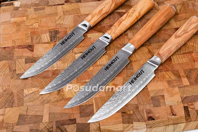 Набор ножей для стейка Legnoart Fassona 4 шт, ручка из дерева, п/у  (Legnoart) - купить в Москве в Williams Oliver
