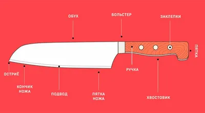 Применение и назначение ножей