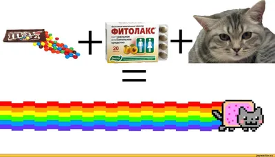 Nyan cat diy kids costume | Diy halloween costumes for kids, Kids costumes,  Kids costumes boys