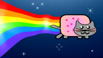 Кот отдыхает на бутерброде с парящей радугой, картинки нян кэт, кошка,  домашний питомец фон картинки и Фото для бесплатной загрузки