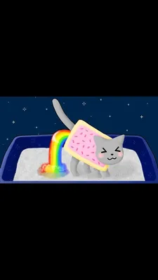 красивые картинки :: Nyan Cat :: нян кэт / картинки, гифки, прикольные  комиксы, интересные статьи по теме.