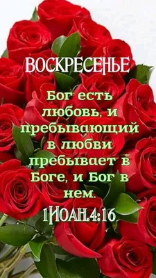 Бог Есть Любовь Христианской Цитатой Текст В Библии Руки Надписи Типографии  Дизайн Вектор Иллюстрация Дизайн Для Праздничной Поздравите — стоковая  векторная графика и другие изображения на тему Ёлочные игрушки - iStock