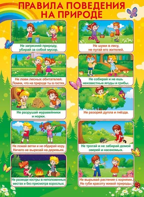 Папка передвижка «Лето» — Все для детского сада | Детский сад, Детская  поэзия, Карты ручной работы