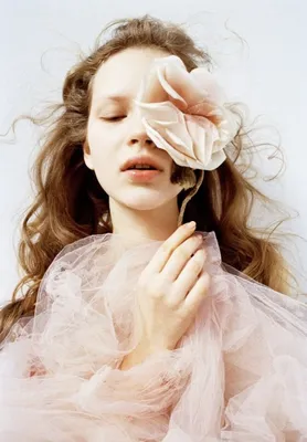 Книги о моде Dior, Balenciaga, Alexander McQueen, Roberto Cavalli, Armani |  Beauty Insider