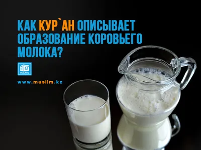 Сотрудники Роспотребнадзора напомнили жителям Волгоградской области о пользе  молока