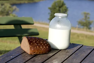 Ультрапастеризованное молоко: польза и этапы производства  ультрапастеризованного молока
