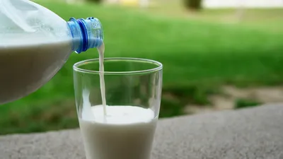 Вся правда о пользе молока