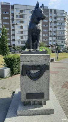 Памятник преданности в Тольятти, Южное ш. - фото, отзывы 2024, рейтинг,  телефон и адрес