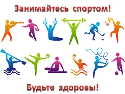 О повышении роли физической культуры и спорта в формировании здорового  образа жизни россиян | Спорт и развитие спорта | Дзен
