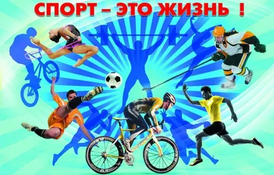 Спорт – залог здоровья - ГБУЗ «Белореченская ЦРБ» МЗ КК
