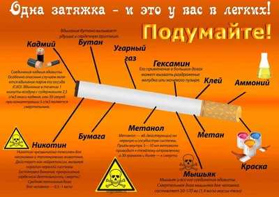 О вреде курения | ОГБУЗ ОБ№2