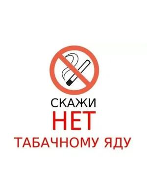 Табакокурение – Городничанка 2023/2024