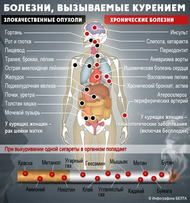 О вреде курения | Стоматология