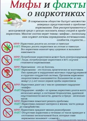 О вреде алкоголя - ГБУЗ «Белореченская ЦРБ» МЗ КК