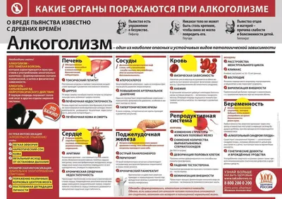 Предупреждение о вреде здоровью предложили печатать на каждой сигарете:  Уход за собой: Забота о себе: Lenta.ru