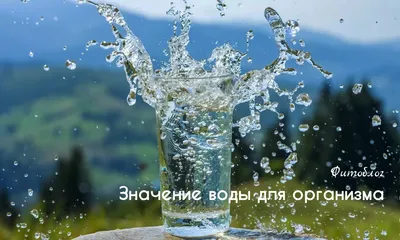 Польза воды, значение воды, роль воды в организме человека, статьи о воде,  буровые установки, Киев, Украина