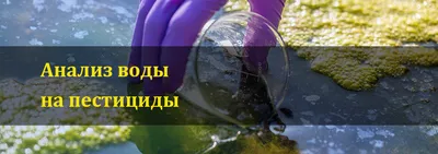 В России растут как цены на бутилированную воду, так и число потребителей,  пьющих воду из крана :: РБК Магазин исследований