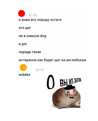 Вся Правда о Медведях: Обои на телефон - YouLoveIt.ru