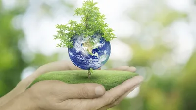 Конкурс экологических плакатов “Охрана окружающей среды” – Управление  образования администрации города Благовещенска