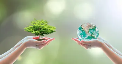 Охрана окружающей среды — Реестр зеленых насаждений города Алматы
