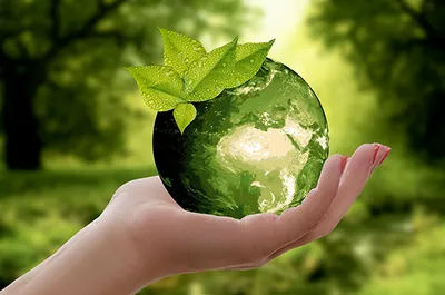 КС обобщил наиболее значимые правовые позиции о защите окружающей среды