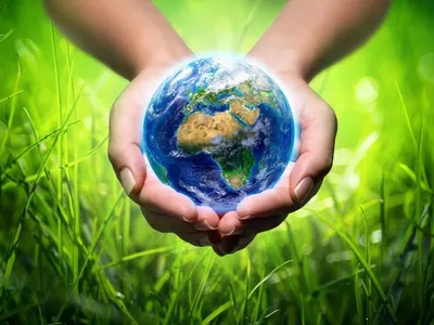Всемирный день окружающей среды - Парламентская газета