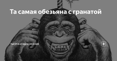 semenyuk evgen artist: Monkey with a grenade. Обезьяна с гранатой