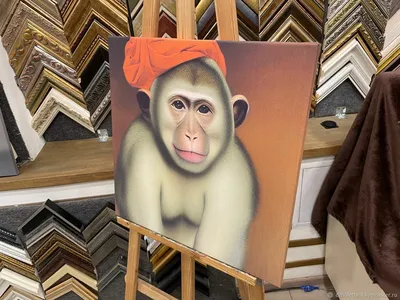 Крупным планом фото обезьяны на ветке дерева · Бесплатные стоковые фото