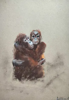 Картина на холсте Питер Брейгель \"Две цепные обезьянки\"