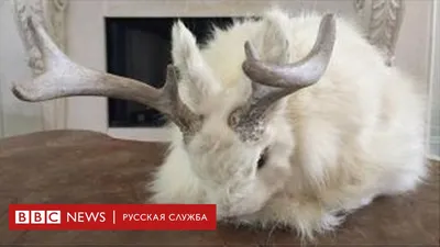 Объятия мужчины и женщины, девушки и парня. Раскраска страницы взрослые и  дети. Чувство любви. - Вектор. Векторная иллюстрация Векторное изображение  ©meiyuan.china.gmail.com 311580658