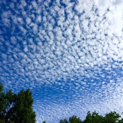 Что такое серебристые облака и как наблюдать редкое природное явление