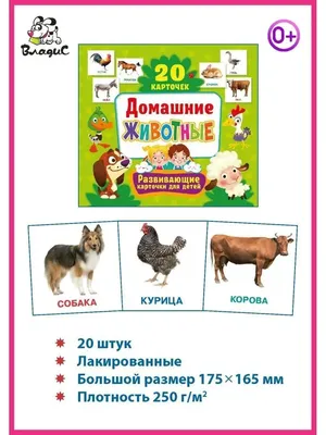 Владис Домашние животные. Развивающие карточки для детей (20 штук)