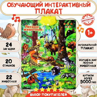 Обучающий интерактивный плакат \"Лесные животные\" для детей / Детская  развивающая игра для изучения мира лесных зверьков / Музыкальный говорящий  планшет на стену для малышей - купить с доставкой по выгодным ценам в