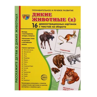 Карточки обучающие \"Дикие животные\" купить в Чите Дошкольное воспитание в  интернет-магазине Чита.дети (812569)