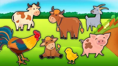Домашние животные и птицы - Познаем окружающий мир - Развивающие мультики  для детей - YouTube