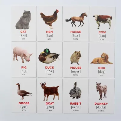 Карточки обучающие развивающие \"Первые животные\" для детей. Взаимодействуют  с Жирафиком Бонни | AliExpress